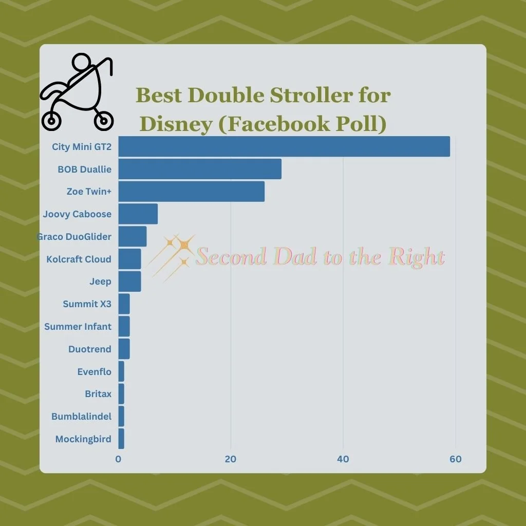 Best Double Stroller for Disney Based on Original Data Second